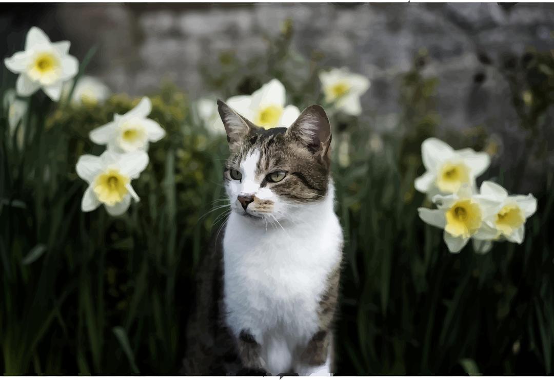 cat and daffodils png transparent