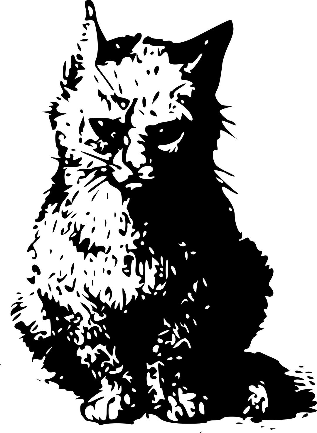 cat illustration png transparent