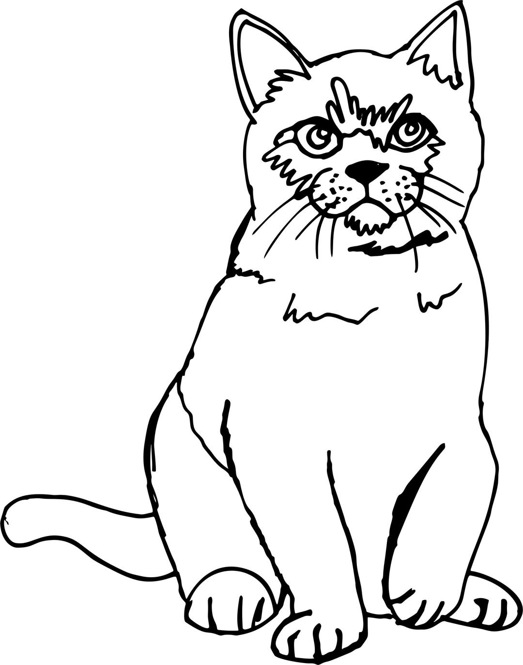 Cat Sketch Line Art png transparent