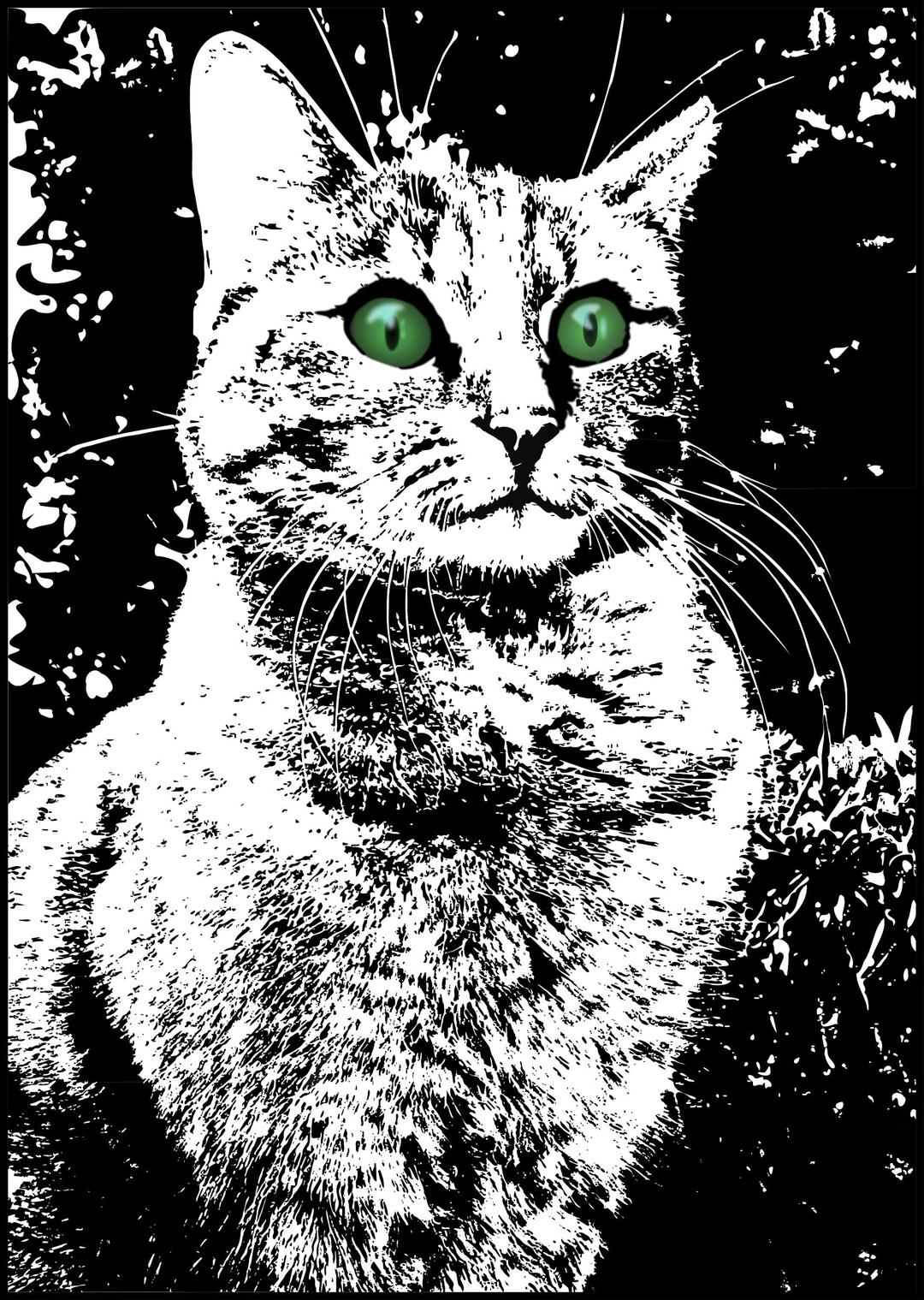 Cat with green eyes png transparent