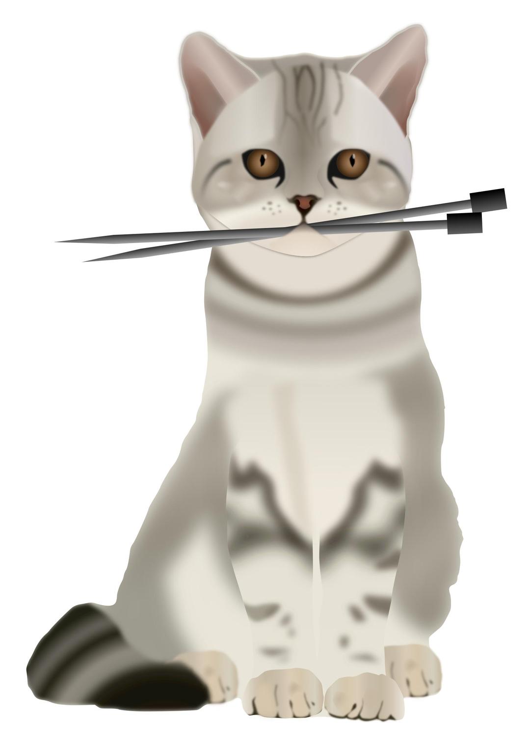 Cat with Knitting Needles png transparent