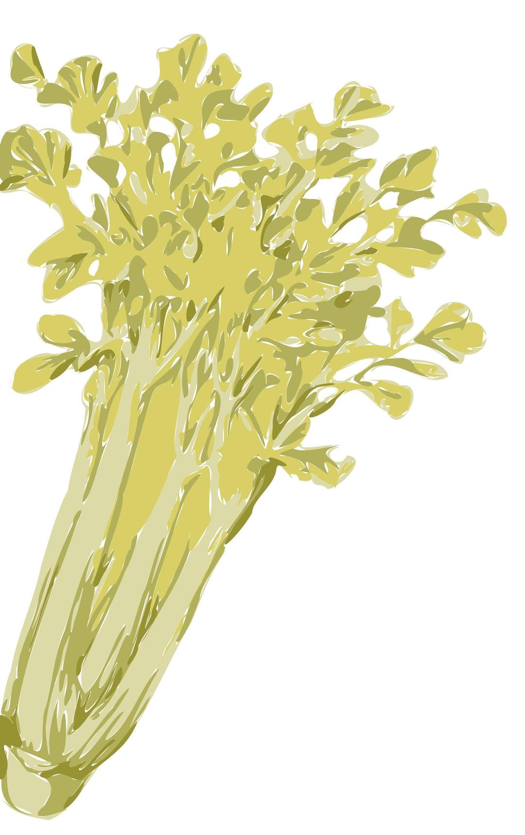 celery png transparent