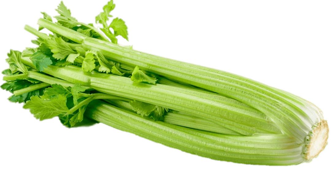 Celery png transparent