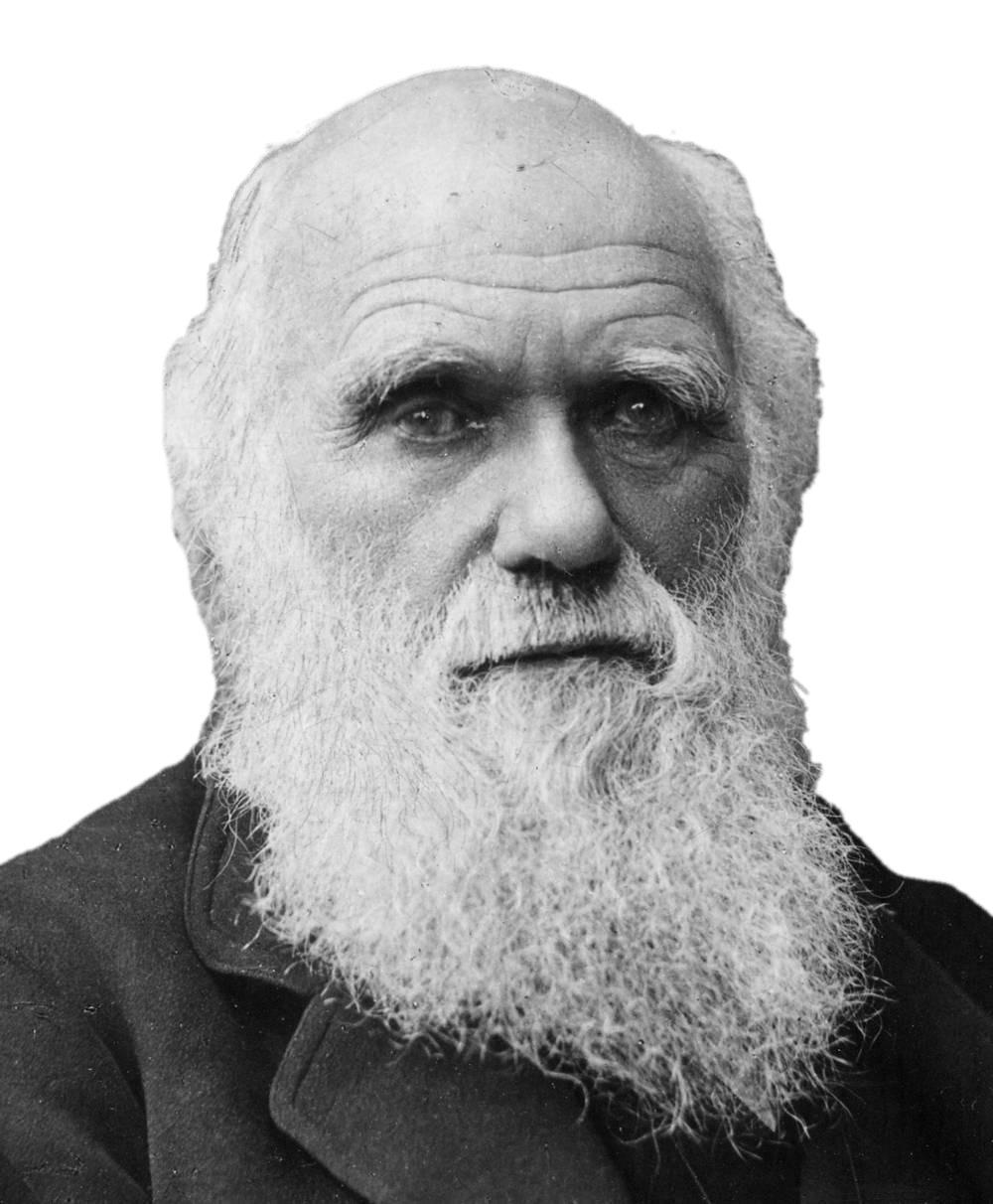 Charles Darwin Portrait png transparent