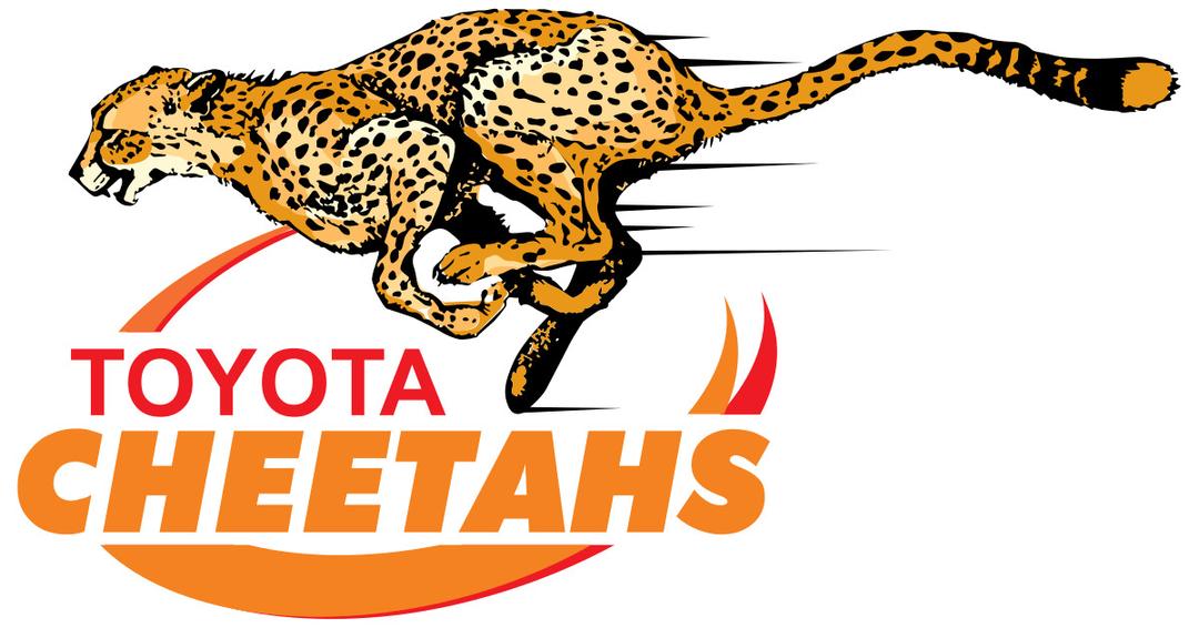 Cheetahs Rugby Logo png transparent