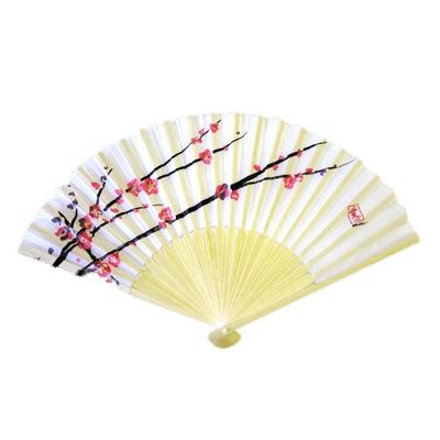 Cherry Blossom Chinese Fan png transparent