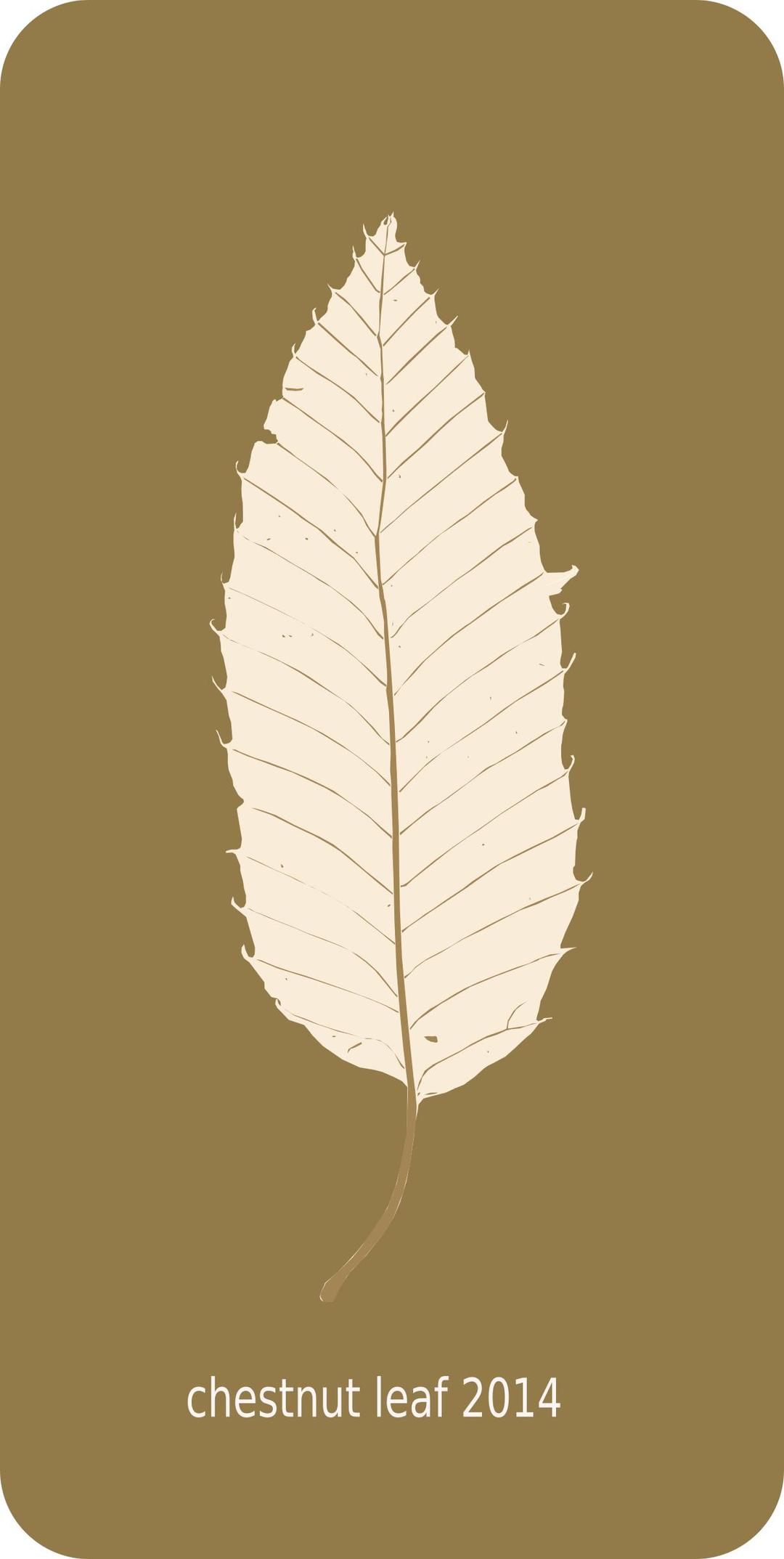 chestnut leaf 2014 png transparent