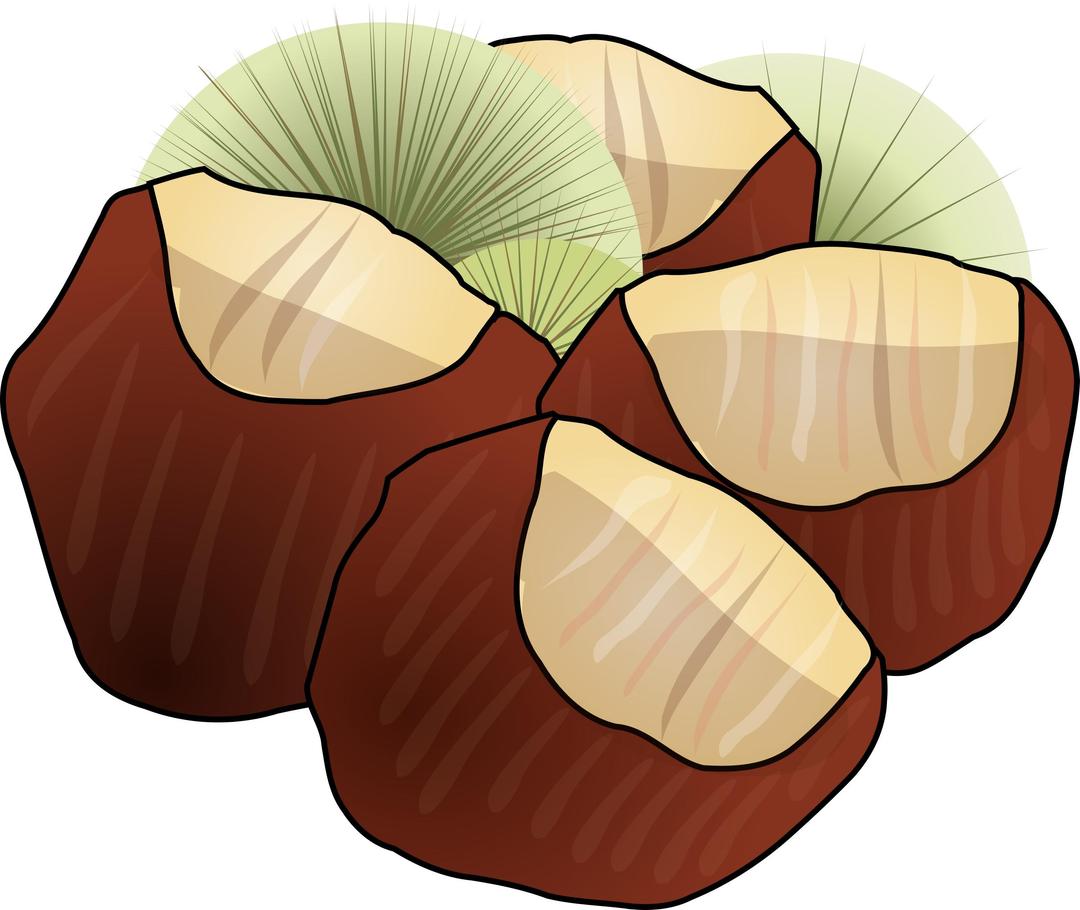 Chestnuts png transparent