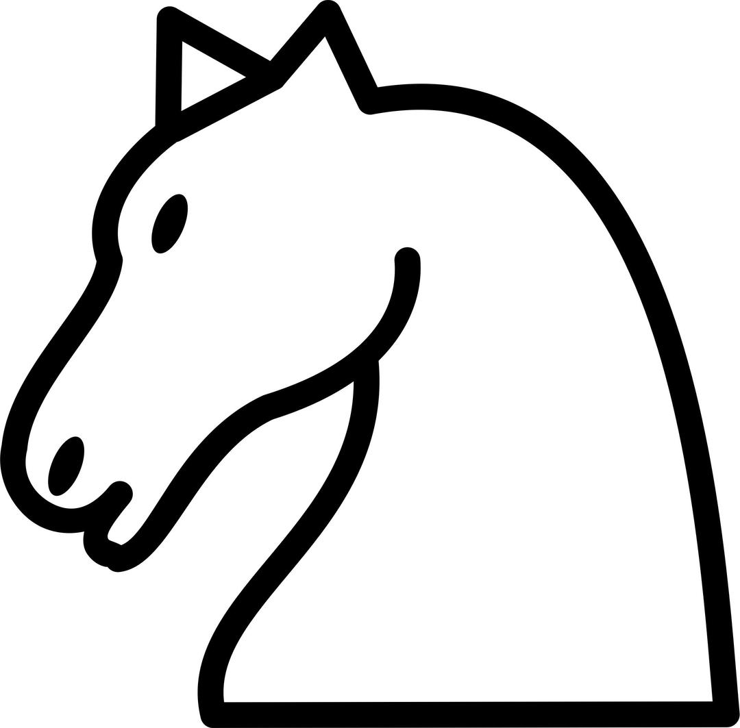cheval png transparent