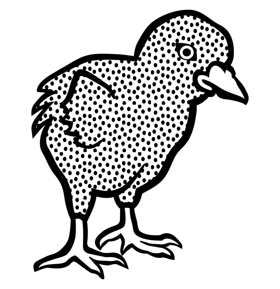 chick1 - lineart png transparent