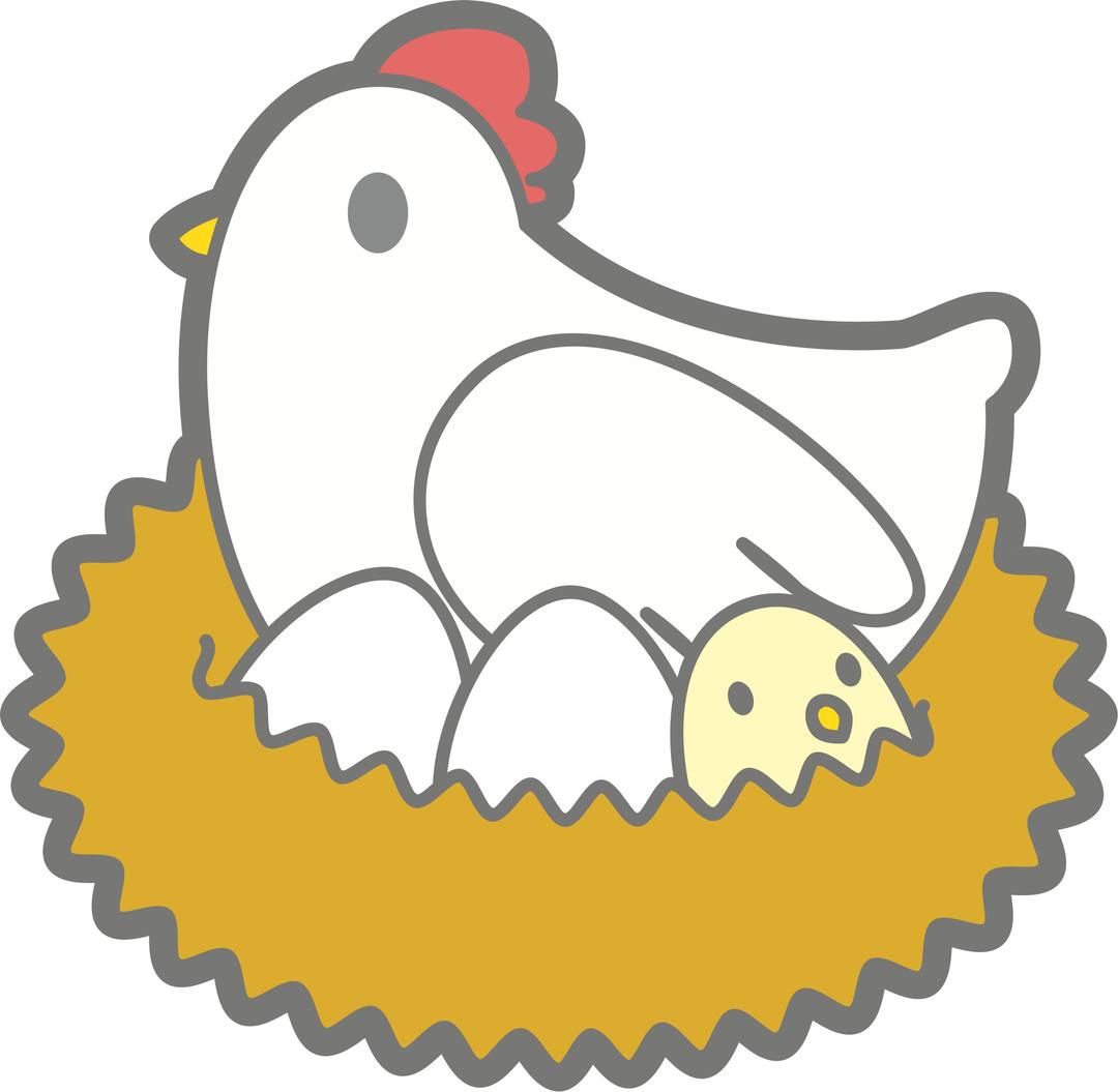 Chicken with eggs png transparent