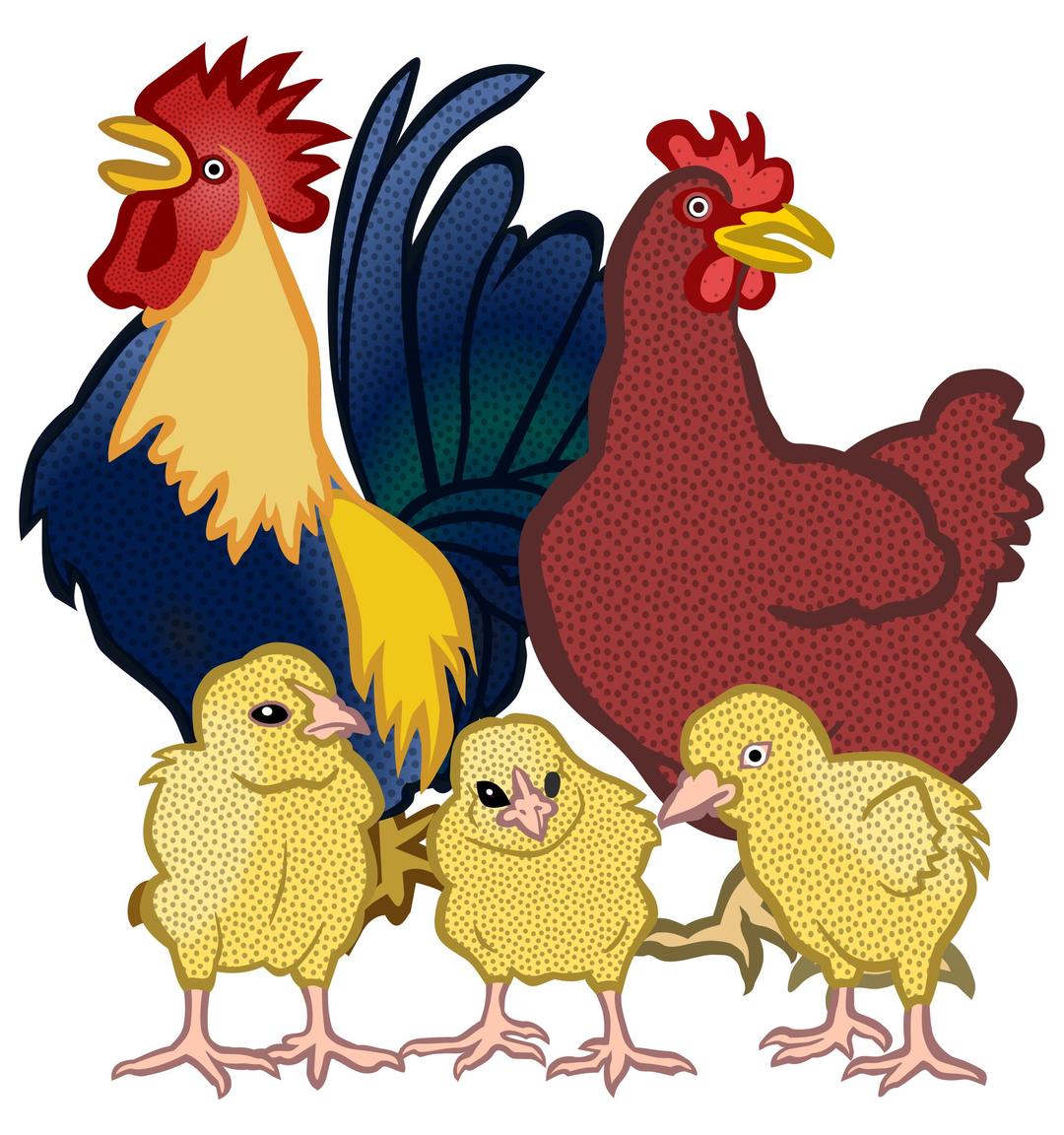 chickens - coloured png transparent
