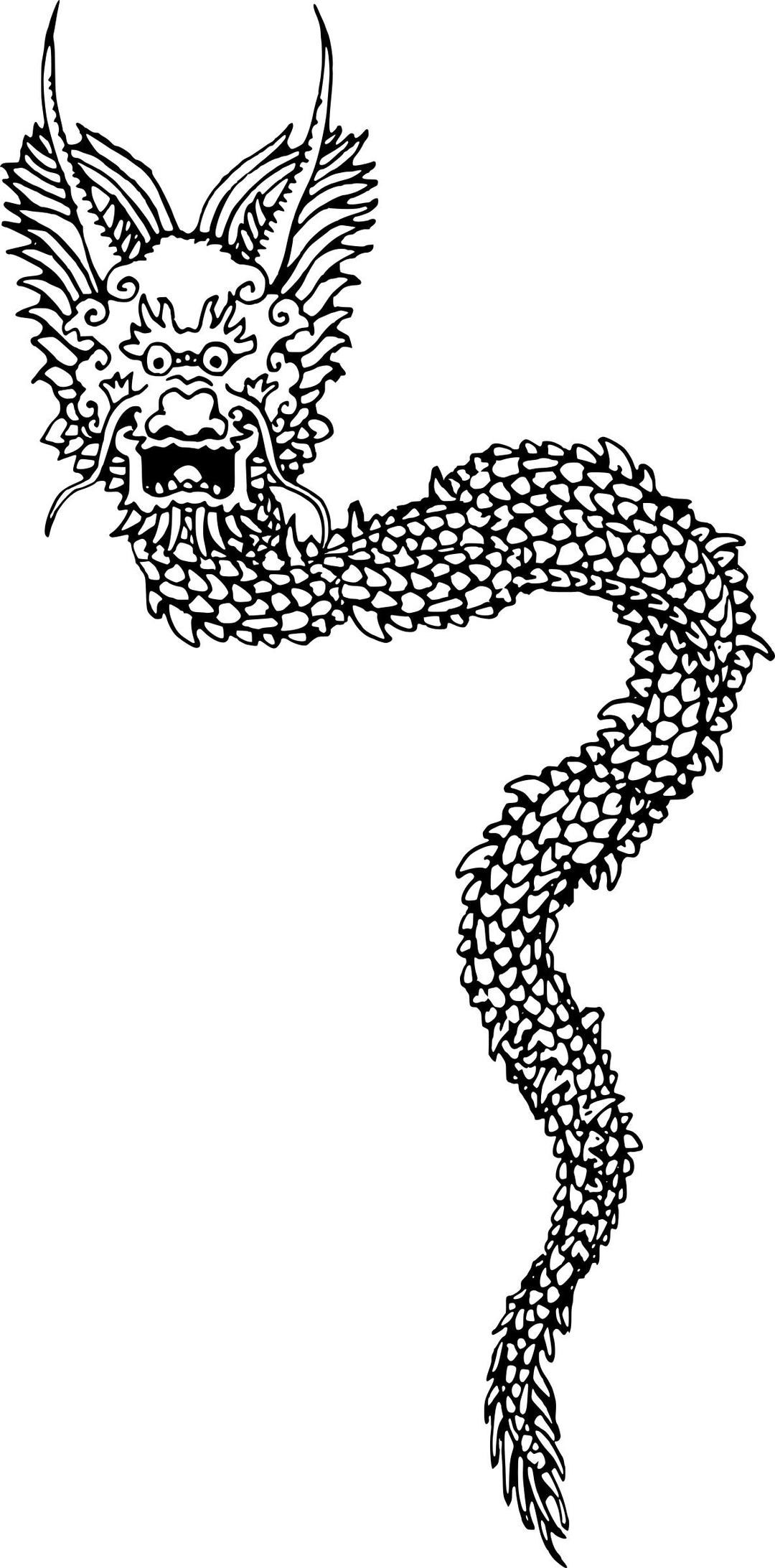 Chinese Dragon - Full Body png transparent