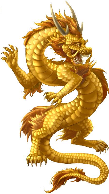 Chinese Dragon Gold png transparent