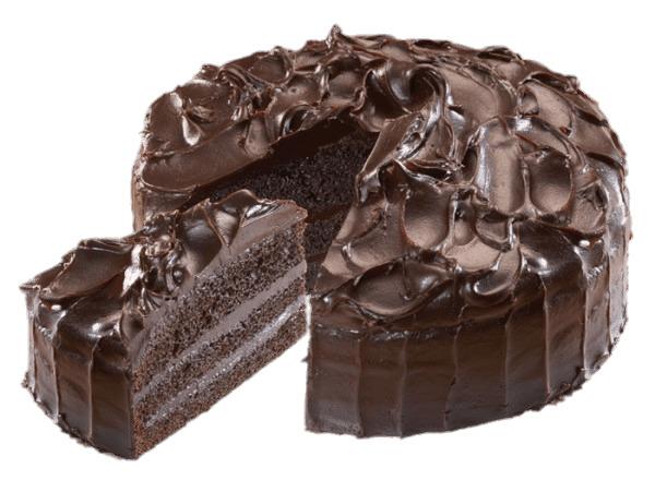 Chocolate Fudge Cake png transparent