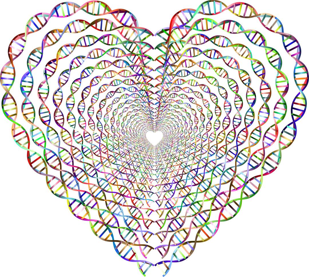Chromatic DNA Helix Heart Tunnel No Background png transparent