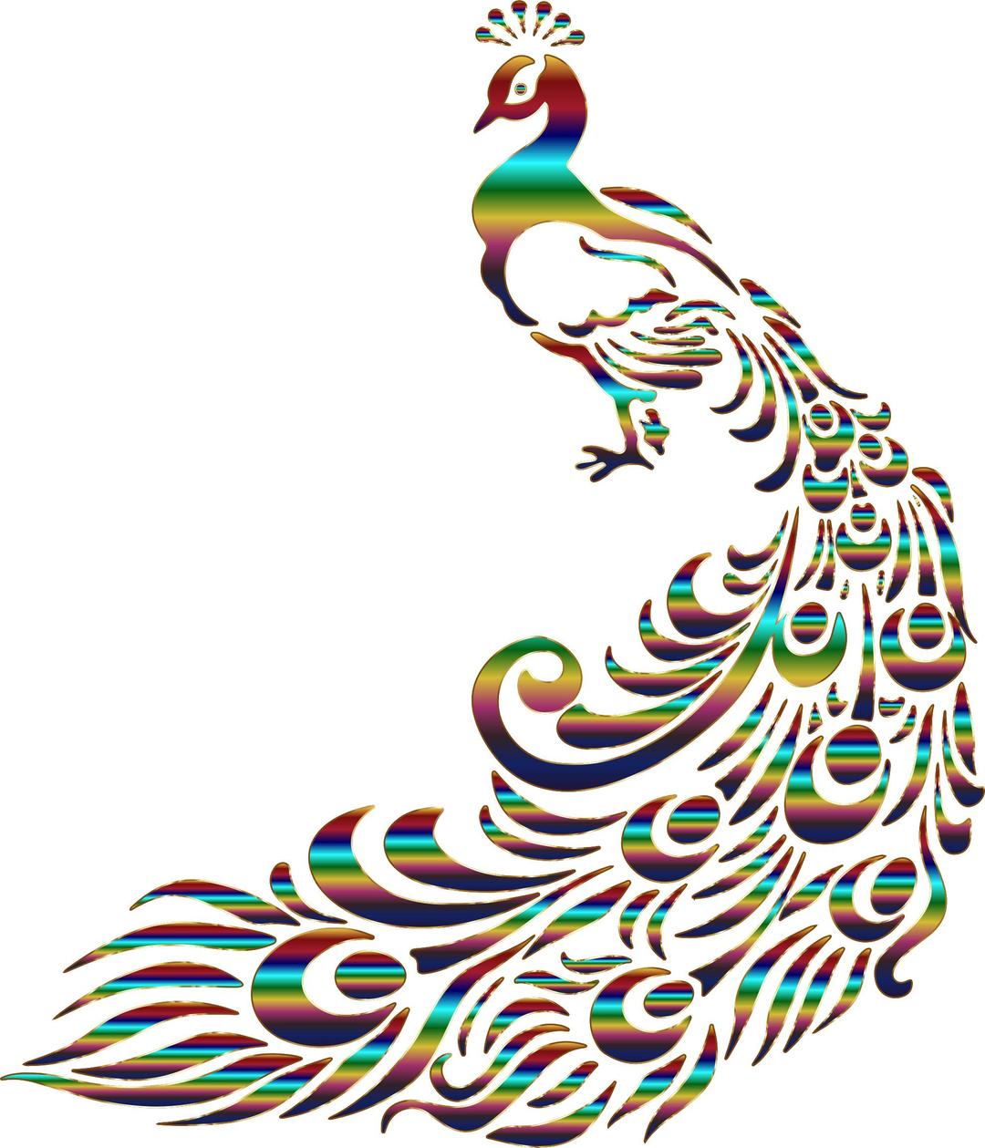 Chromatic Peacock 6 No Background png transparent