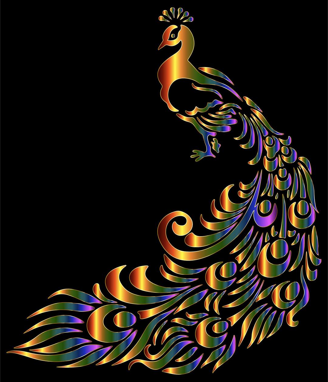 Chromatic Peacock 7 png transparent