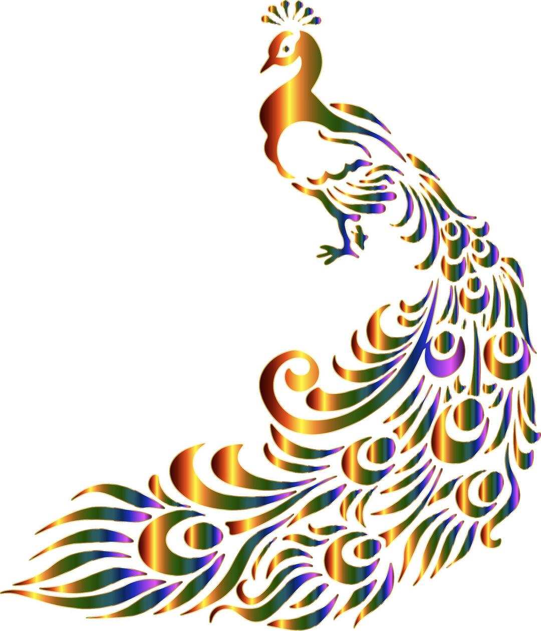 Chromatic Peacock 7 No Background png transparent