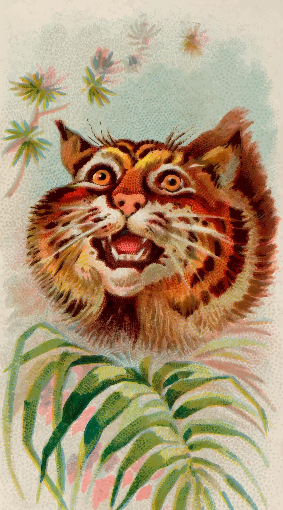 Cigarette card - American wildcat png transparent