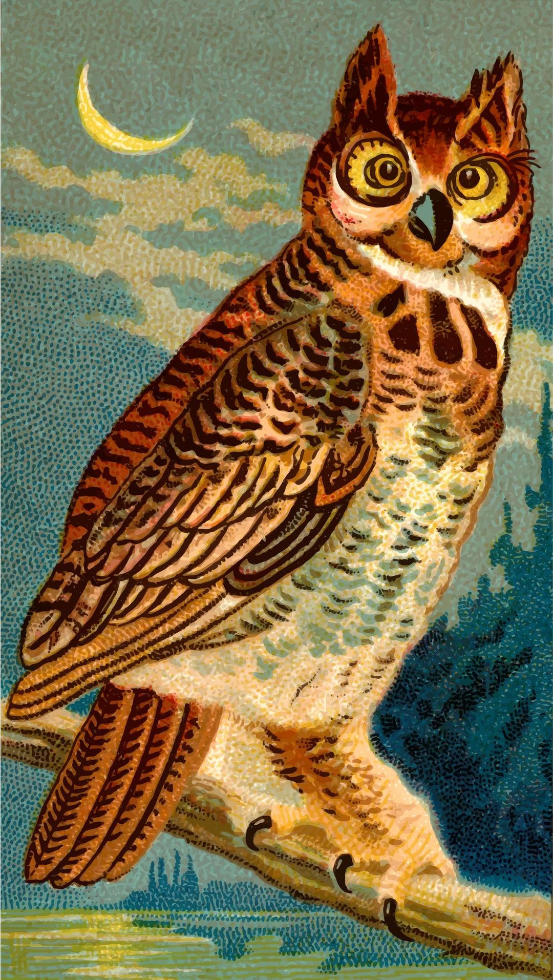Cigarette card - Horned Owl png transparent