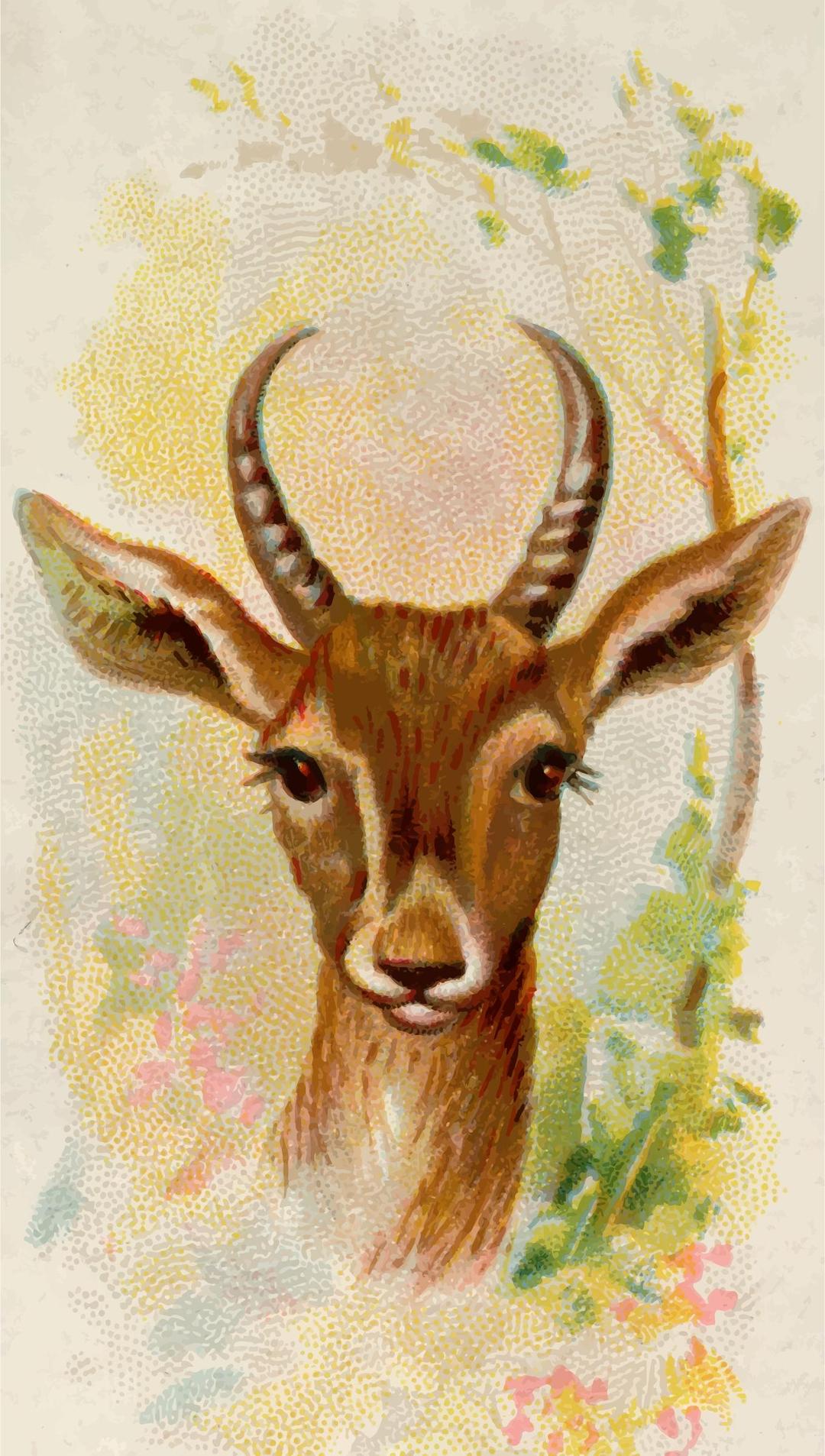 Cigarette card - Persian gazelle png transparent