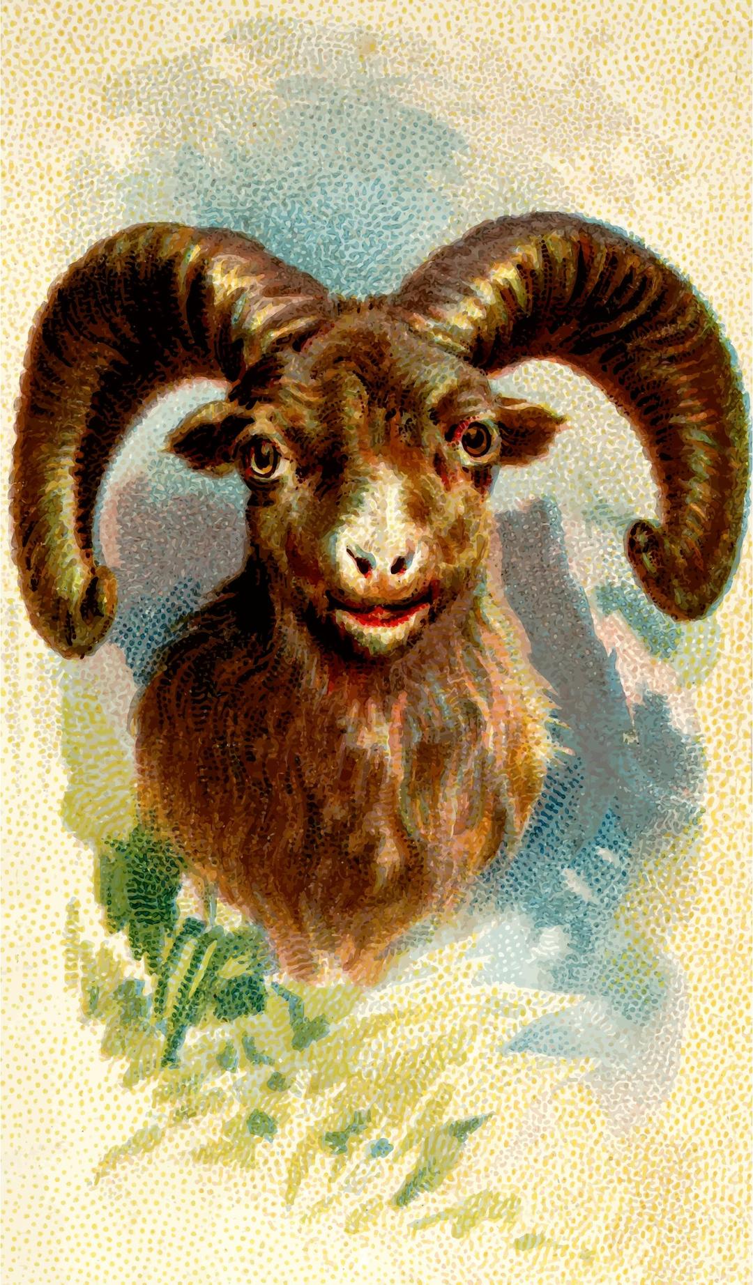 Cigarette card - Rocky mountain sheep png transparent