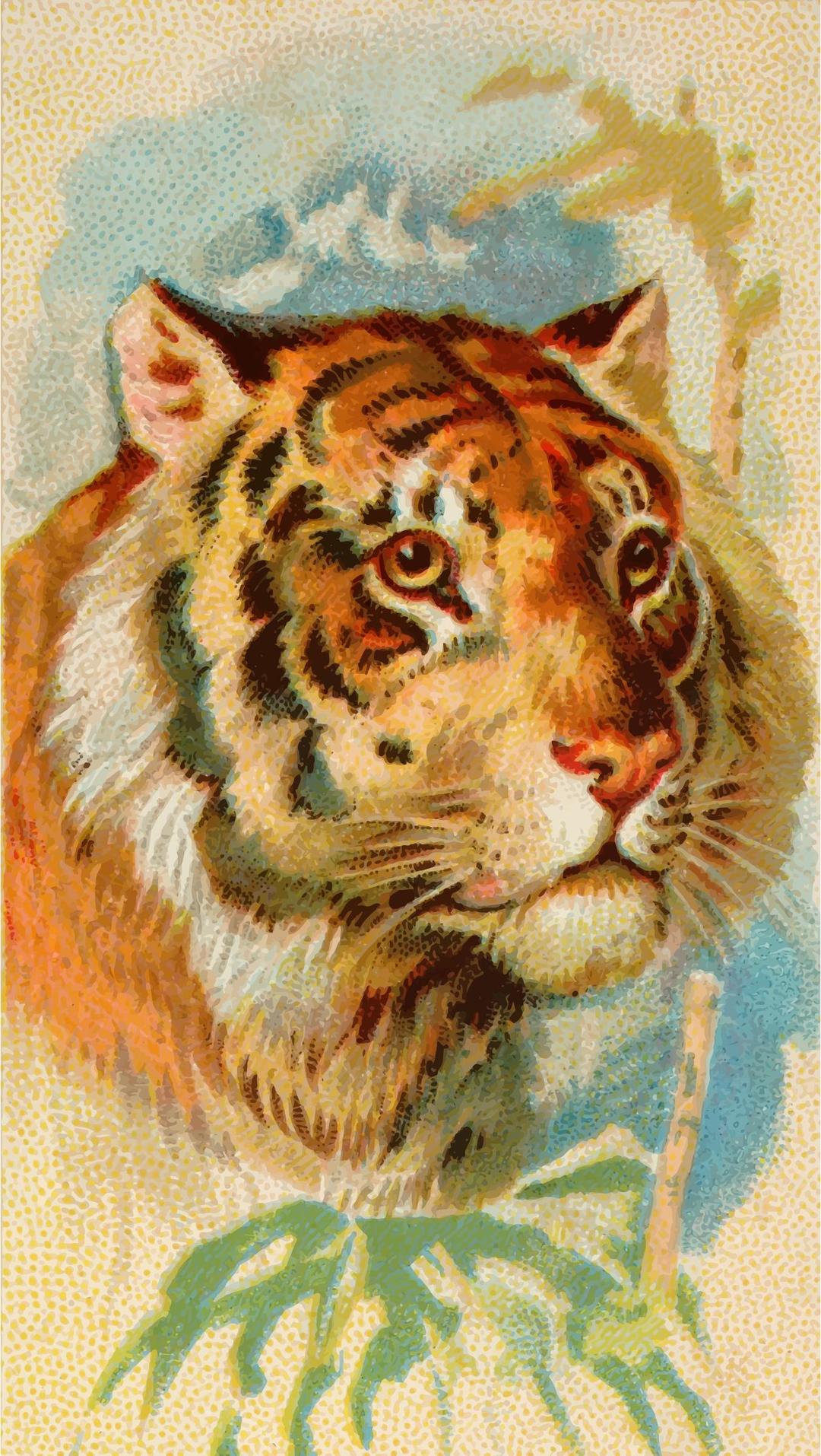 Cigarette card - Tiger png transparent