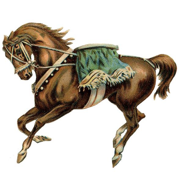 Circus Horse Green Saddle png transparent