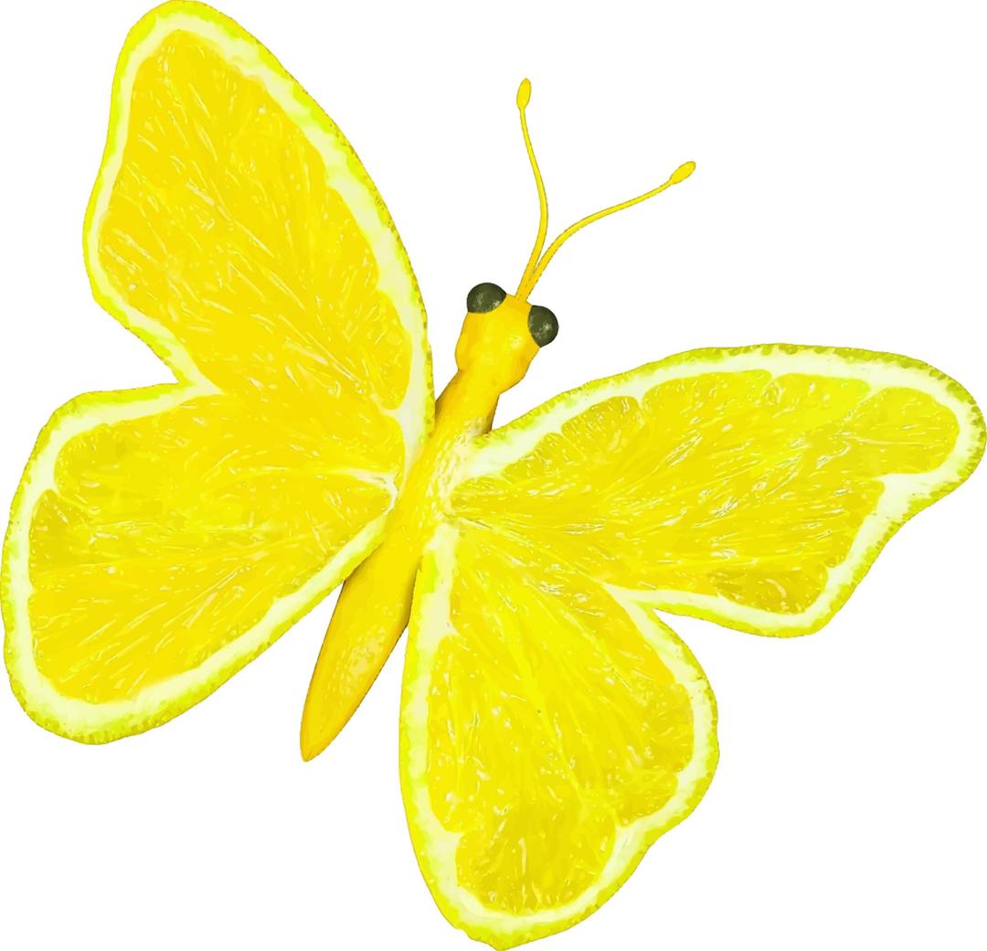 Citrus fruit butterfly (lemon) png transparent