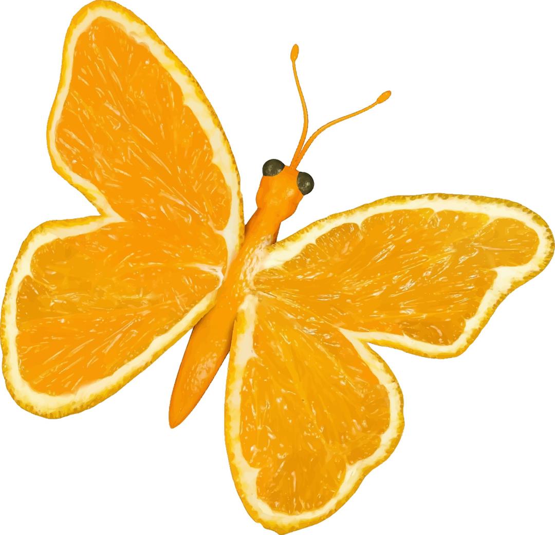 Citrus fruit butterfly (orange) png transparent