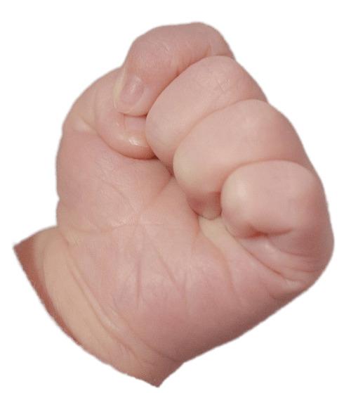 Clenched Baby Fist png transparent