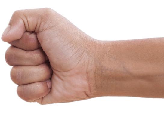 Clenched Fist To the Left png transparent