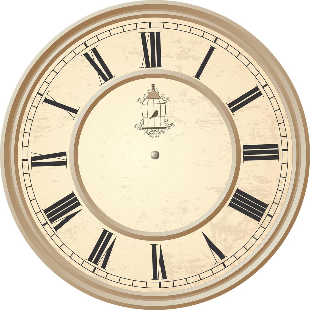 Clock Roman Numerals Birdcage png transparent