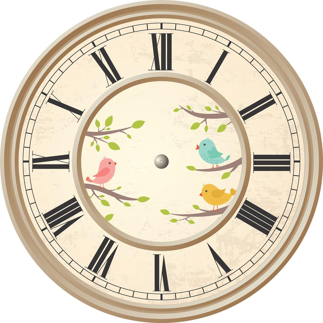 Clock Roman Numerals Birds png transparent