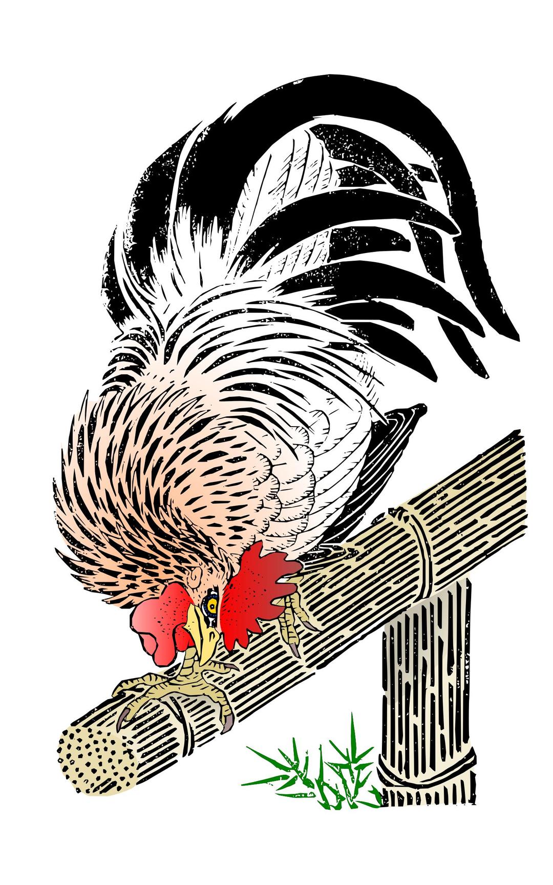 Cock colored png transparent