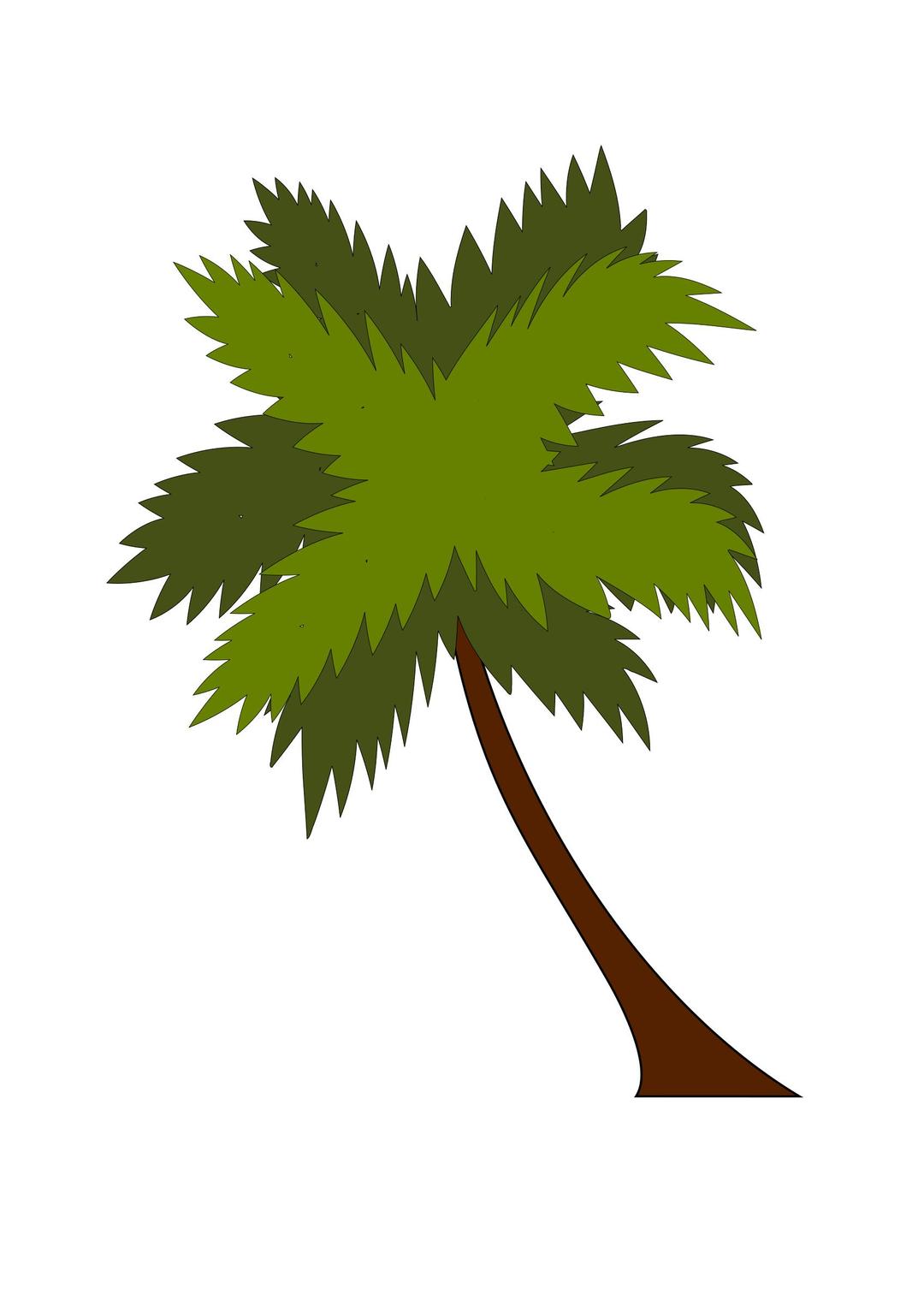 coco tree png transparent