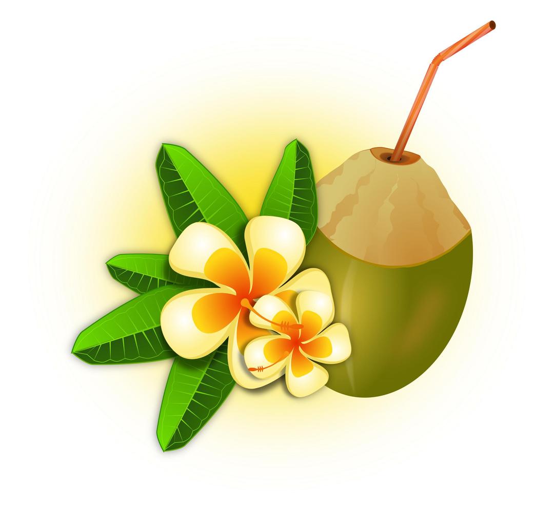 Coconut Cocktail png transparent
