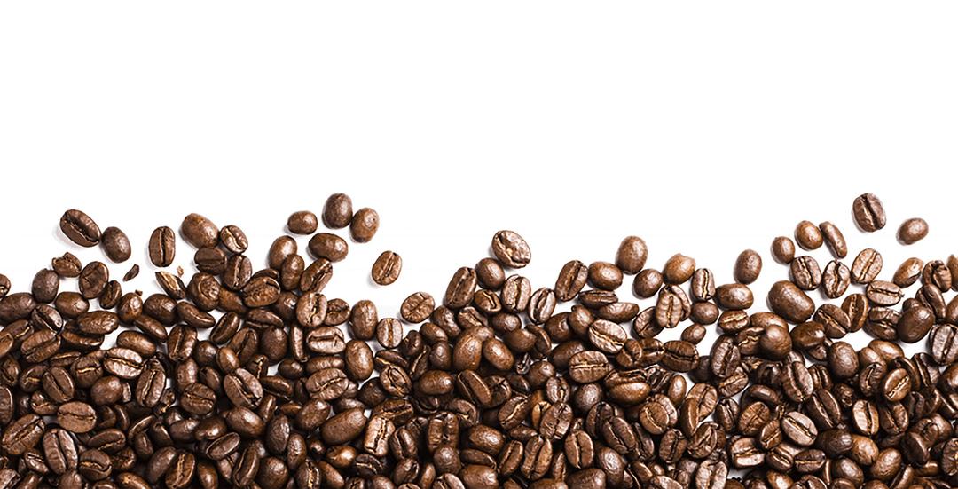 Coffee Beans Footer png transparent