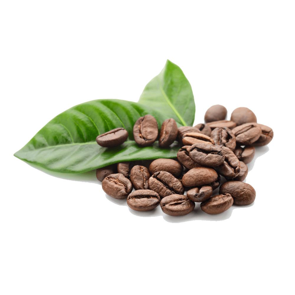 Coffee Beans Leaves png transparent
