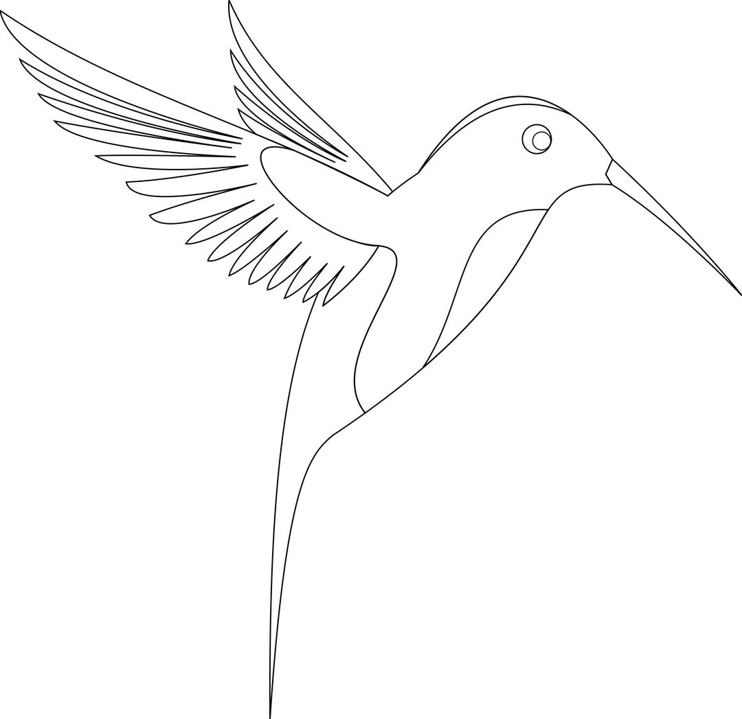 Colibri (single bird line-art) png transparent