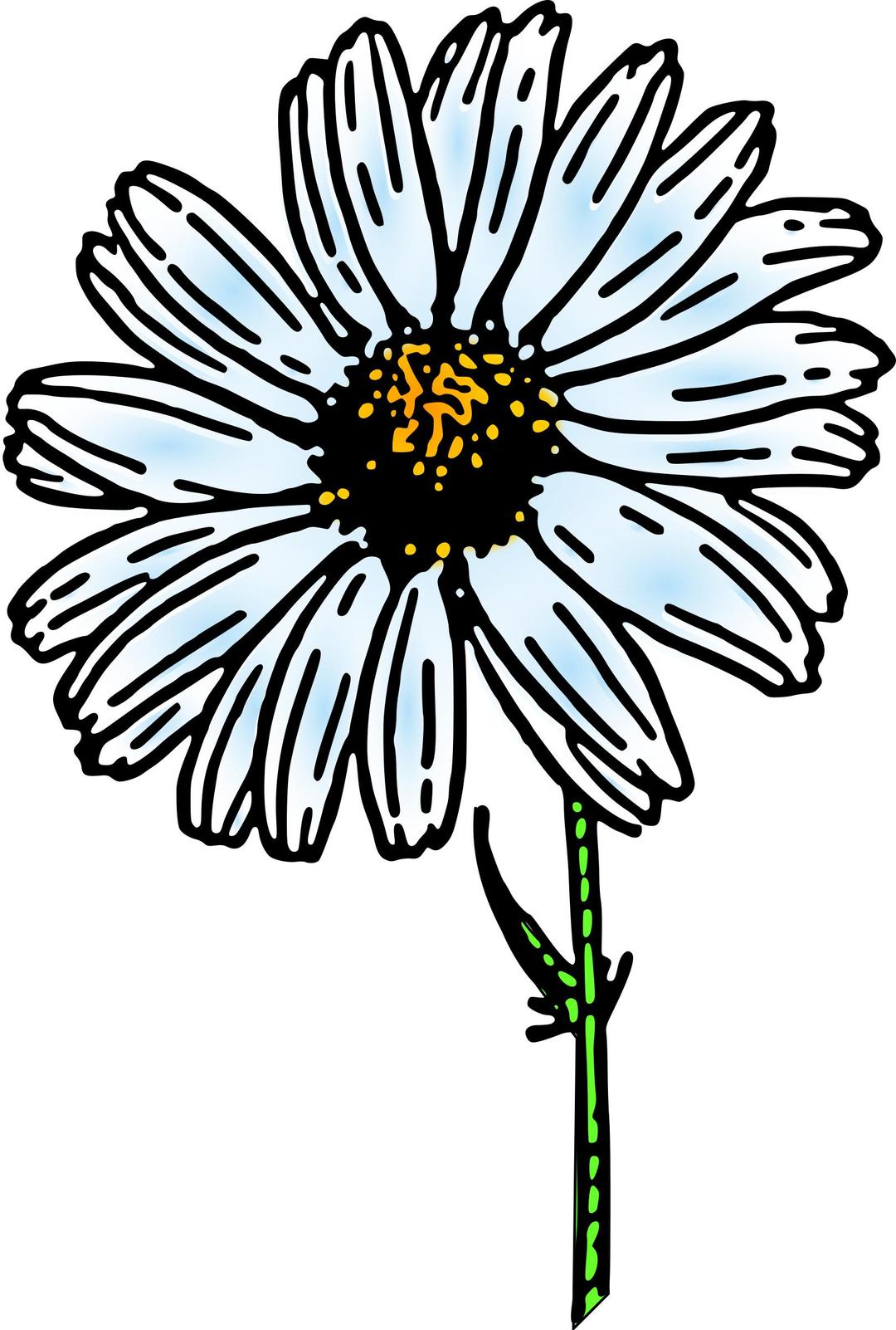 colored daisy 1 png transparent