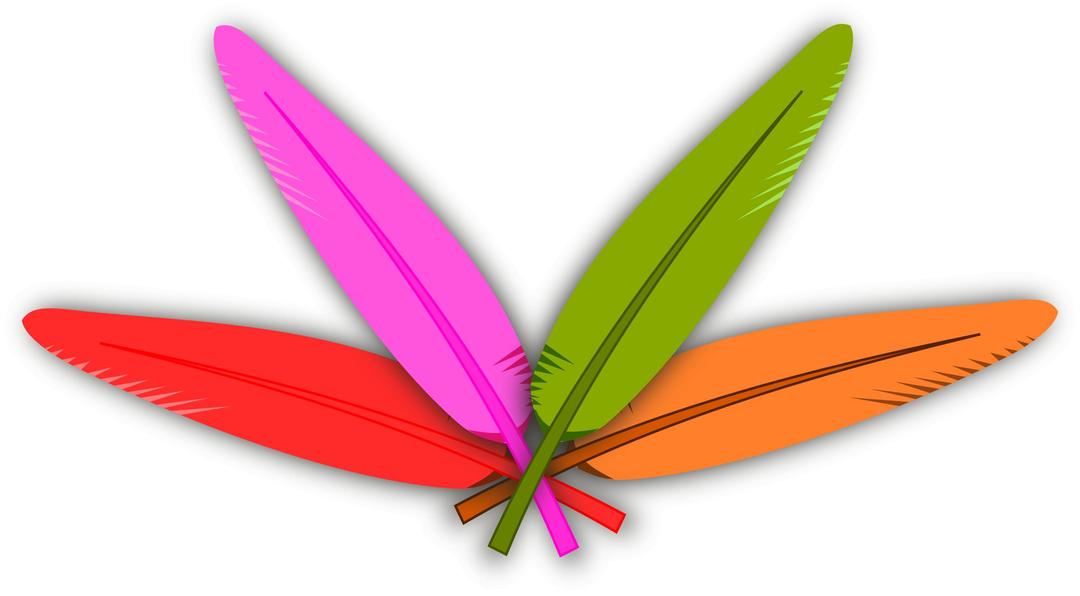 Colored Feather png transparent