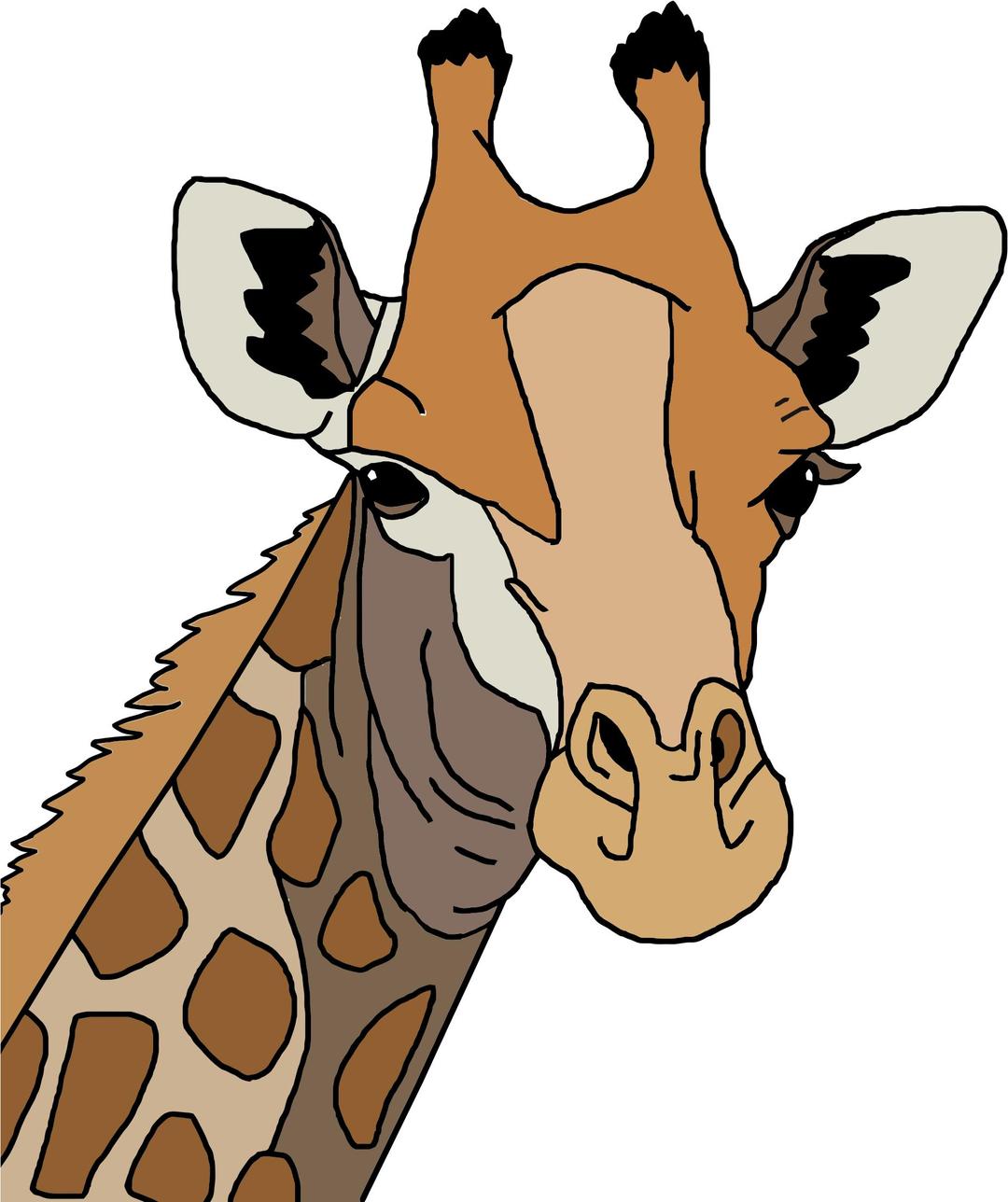 Colored Giraffe png transparent