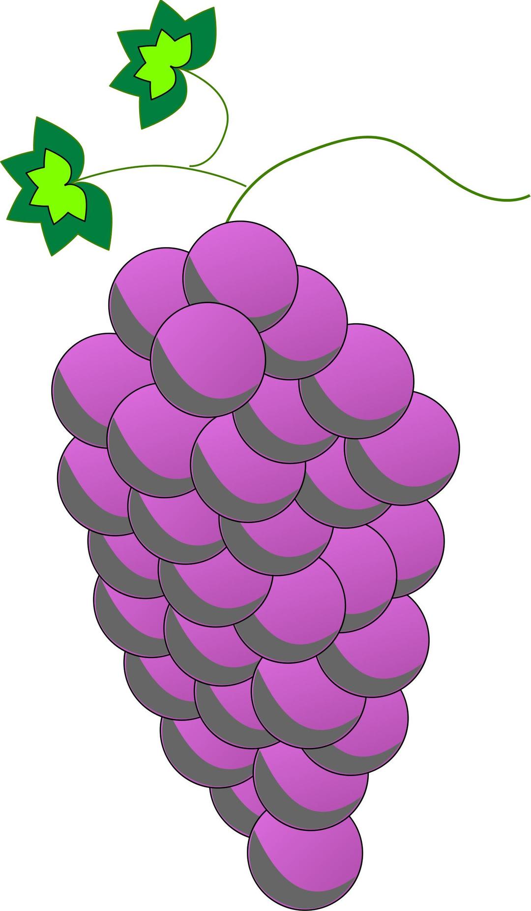 Colored Grapes line art - Purple png transparent