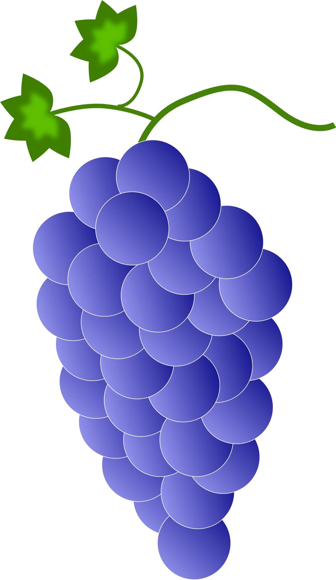 Colored Grapes - Violet \ Blue png transparent