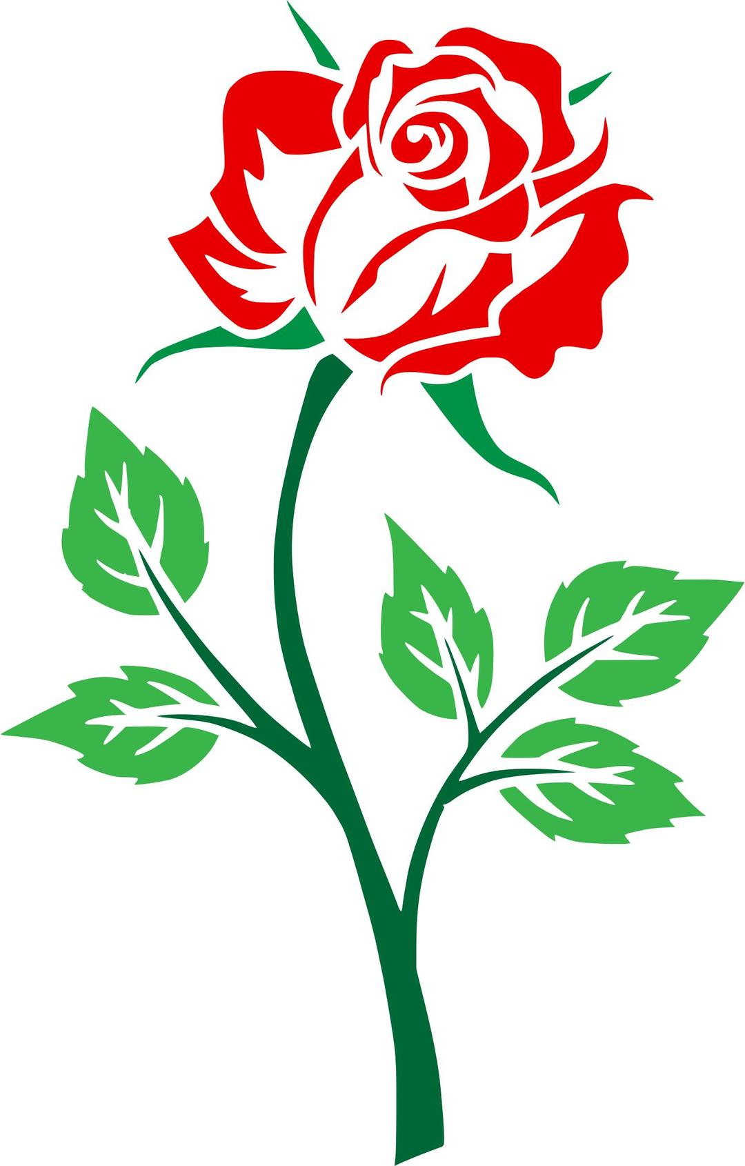 Colored Rose png transparent