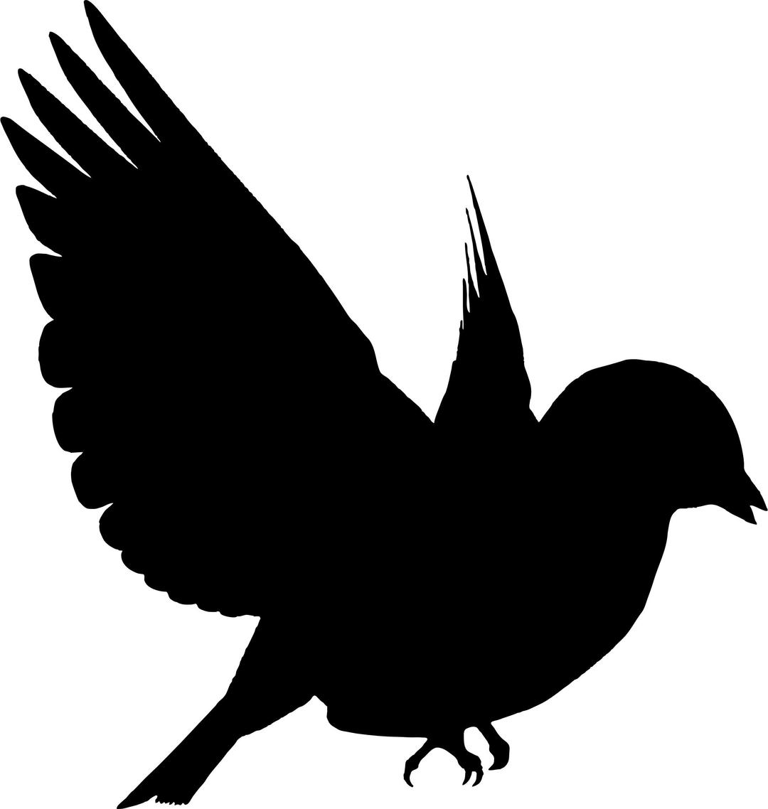 Colorful Bird Silhouette png transparent
