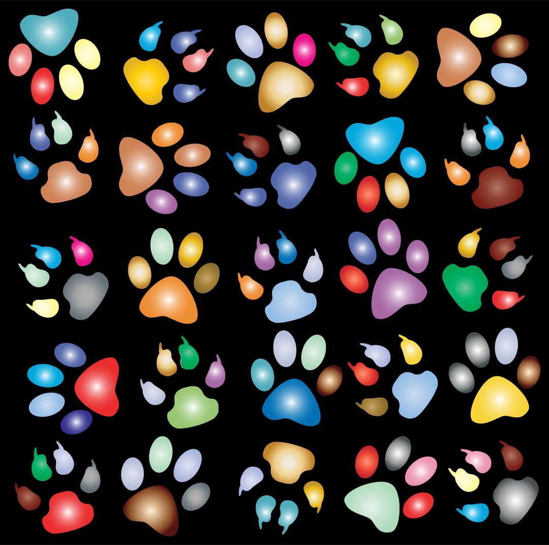 Colorful Paw Prints Pattern Background Reinvigorated 2 png transparent
