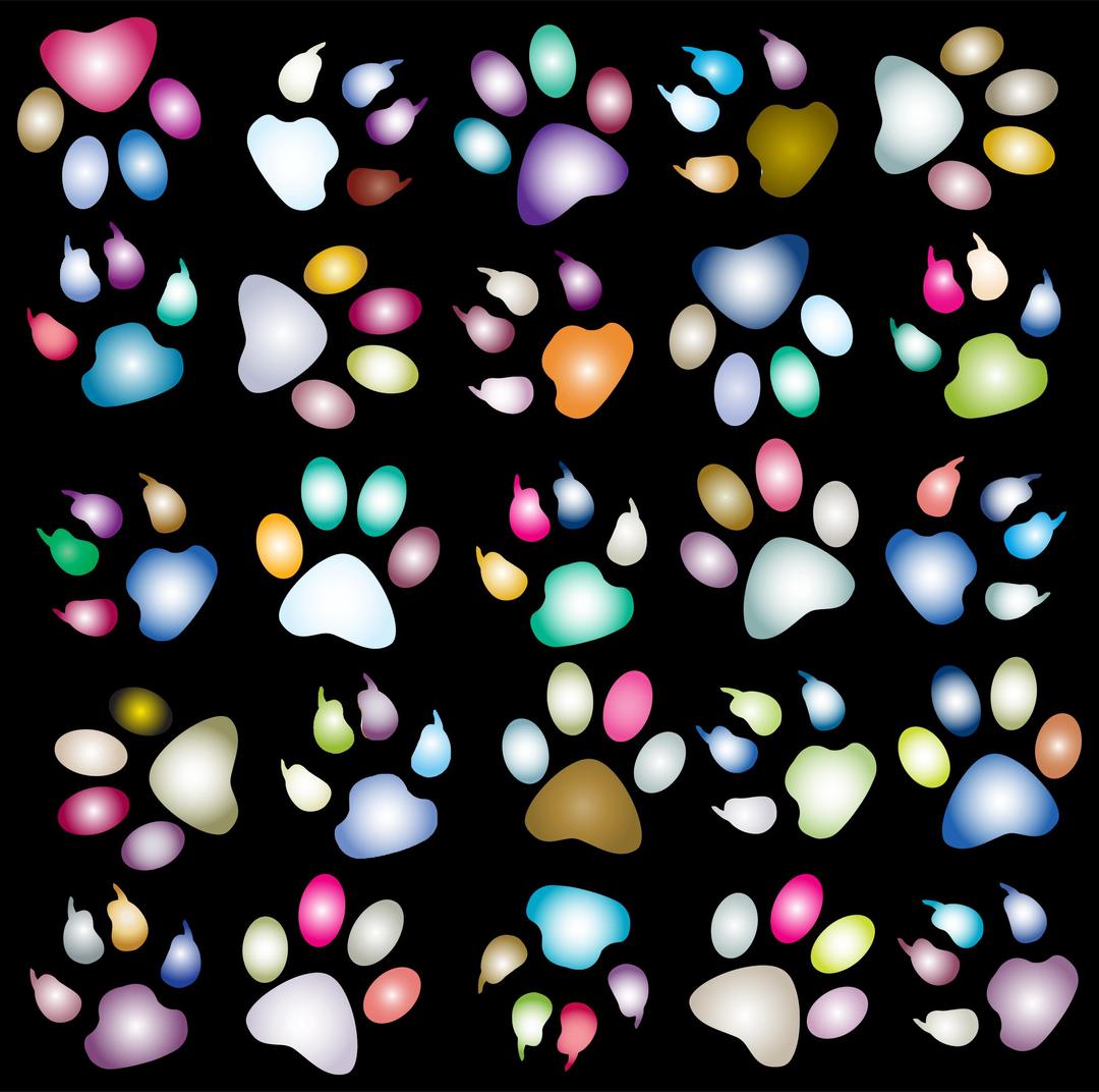 Colorful Paw Prints Pattern Background Reinvigorated 3 png transparent